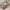Jouet sensoriel | Pop Toy