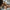 Jouet sensoriel | Pop Toy
