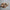 Jouet sensoriel | Pop Toy