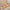 Boite a bijoux Louise velours beige