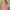Robe de plage | Laurette Rose