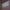 Chapelet Phosphorescent