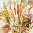 Fleurs séchées field bouquet lavender peach