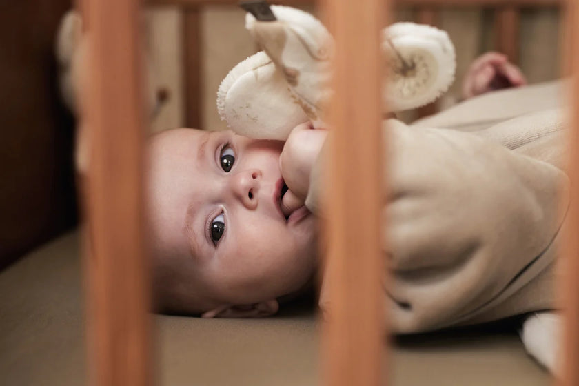 Gigoteuse manches amovible | Velvet - Olive Green