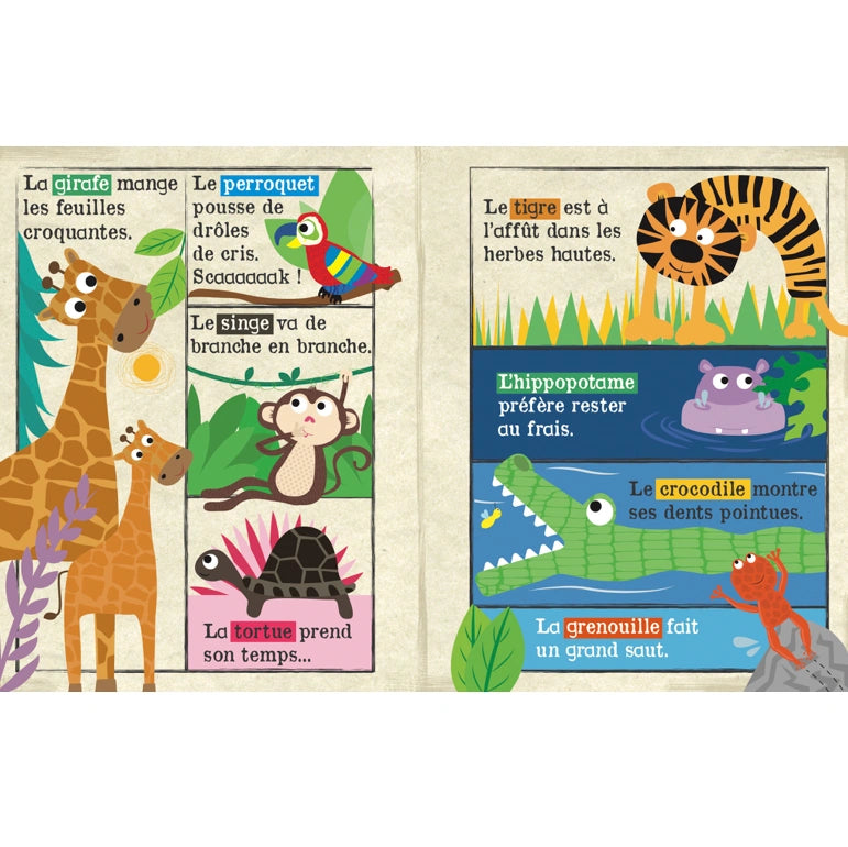 Journal bebe animaux du safari 