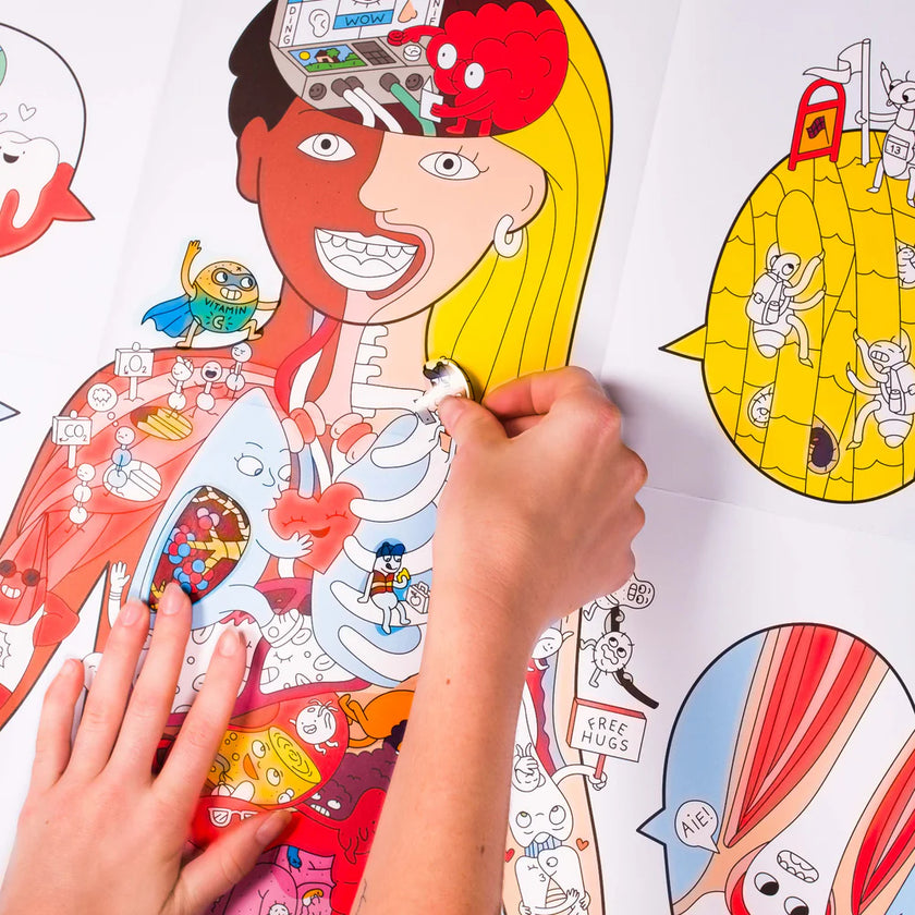 Poster Chercher & Trouve géant | My body