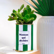 Plante Maman qui déchire