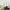 Set 4 bougies longues paul kaki