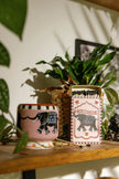Allumettes elephant paddywax