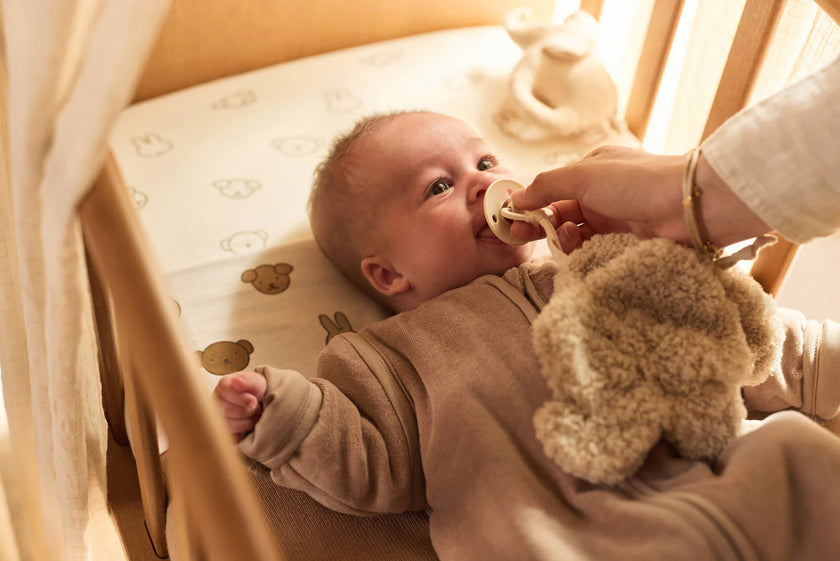 Attache tétine éléphant