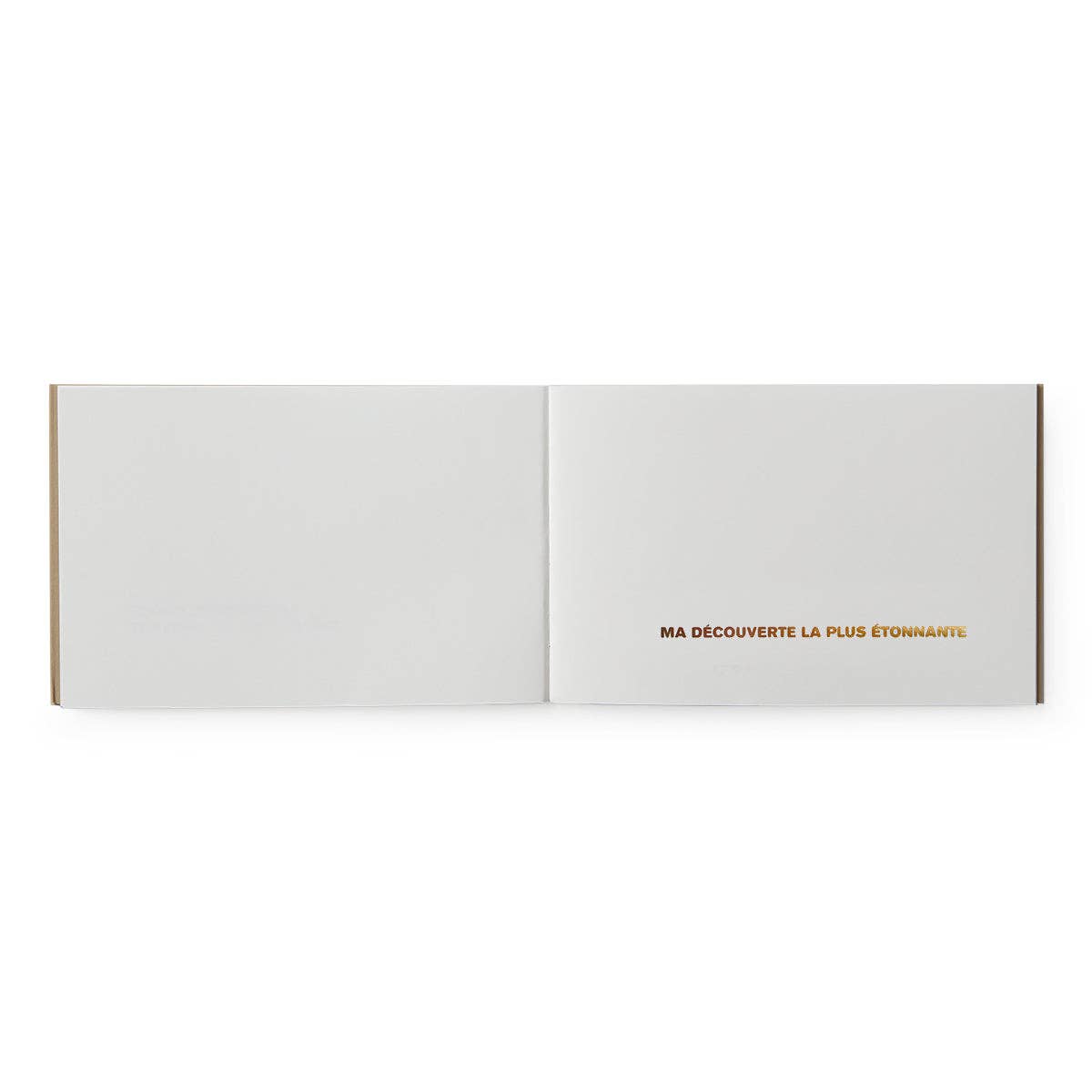 Carnet de voyage vert - Langue Française