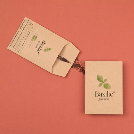 Sachet de graine basilic