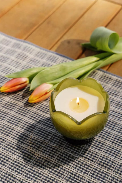 Bougie tulipe paddywax citron