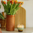 Bougie tulipe wisteria willow Paddywax