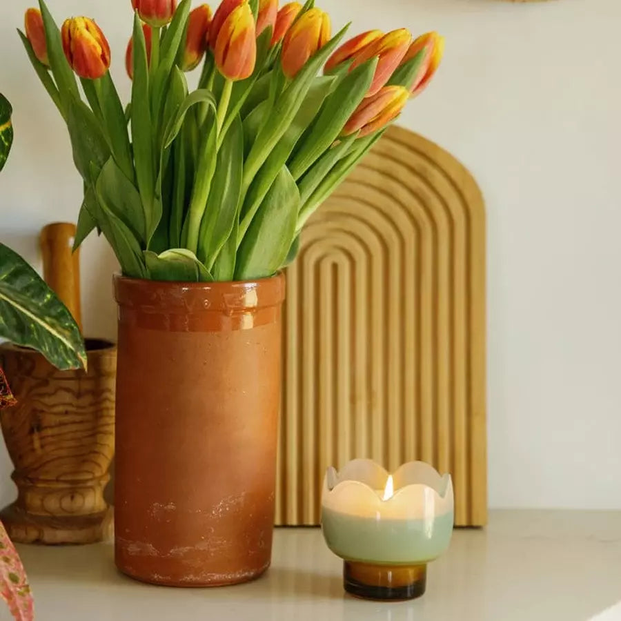 Bougie tulipe wisteria willow Paddywax
