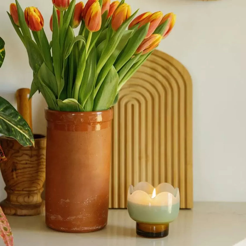 Bougie tulipe wisteria willow Paddywax