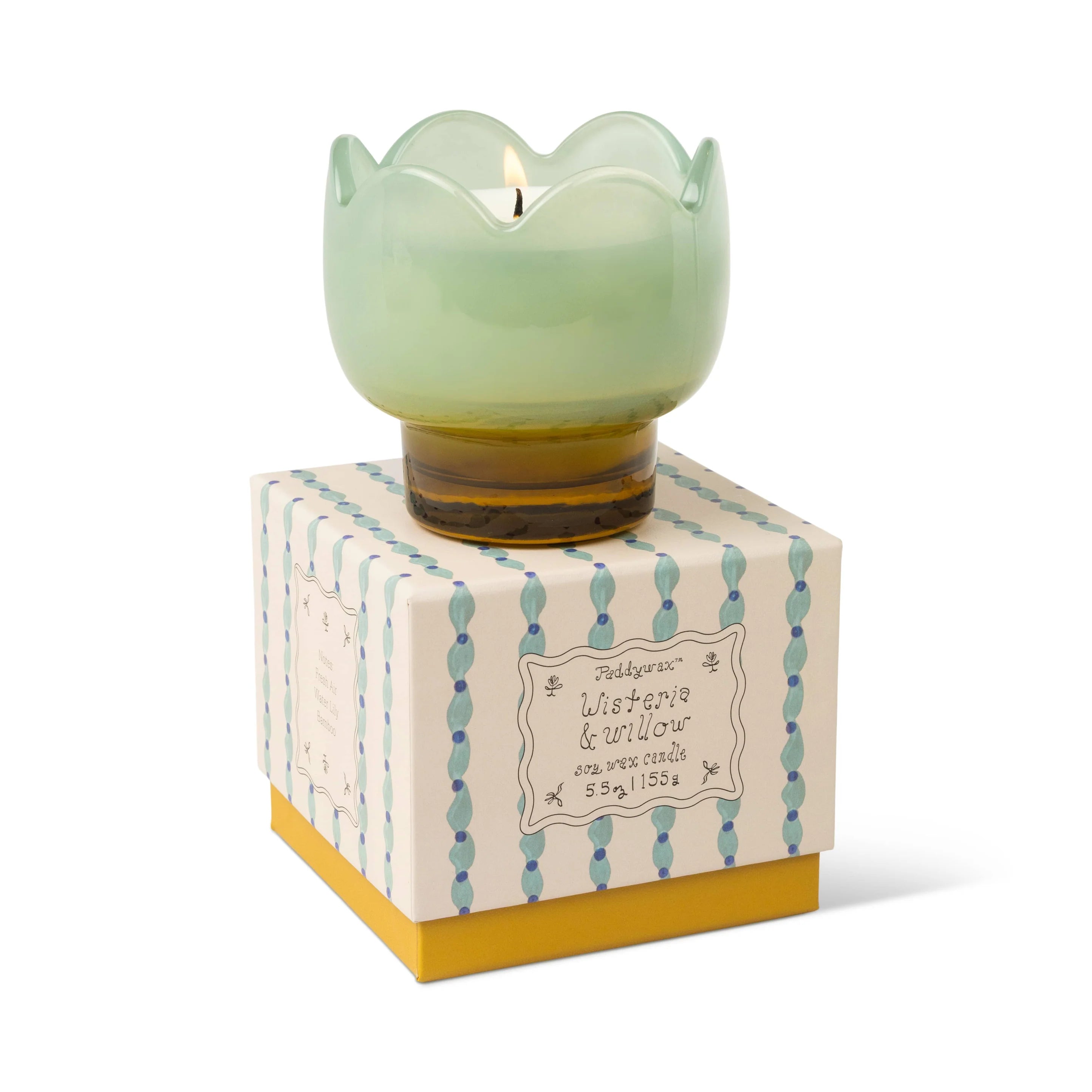 Bougie tulipe wisteria willow Paddywax
