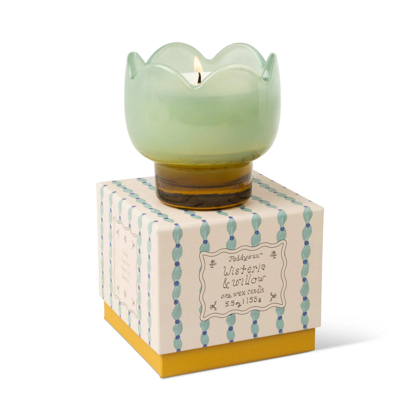 Bougie tulipe wisteria willow Paddywax