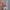 bougie led vintage rose