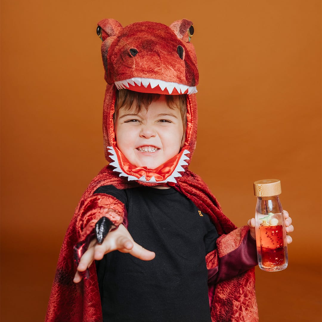 bouteille sensorielle move t rex
