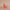 box anniversaire lait fraise