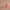 box anniversaire lait fraise