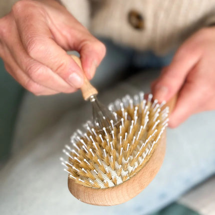Peigne nettoyant pour brosse