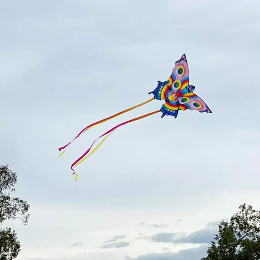 Cerf volant butterfly kite