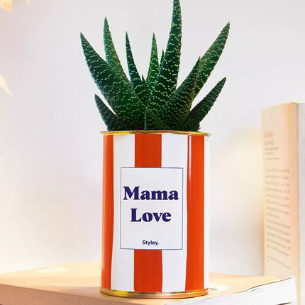 cactus mama love