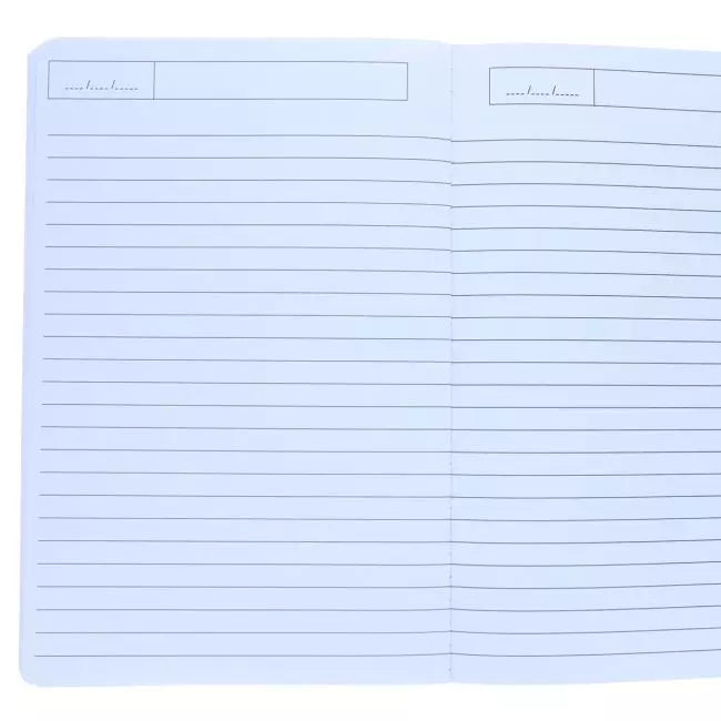 Cahier dinosaures grand format ligne