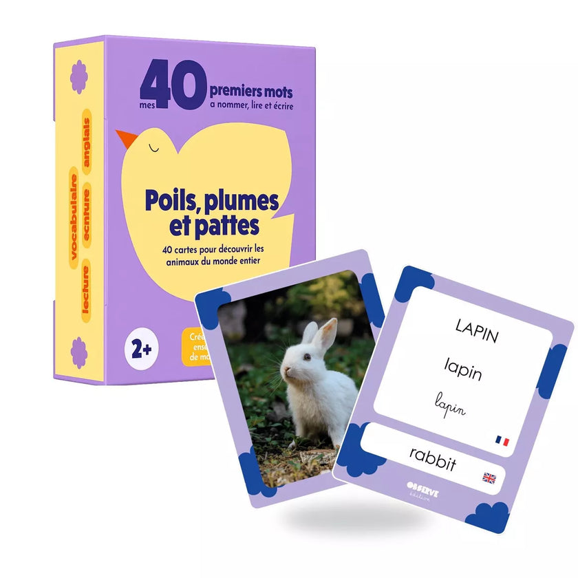 Cartes Flash | Observe Montessori