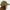 casquette Millitary Green