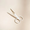 ciseau a ongle
