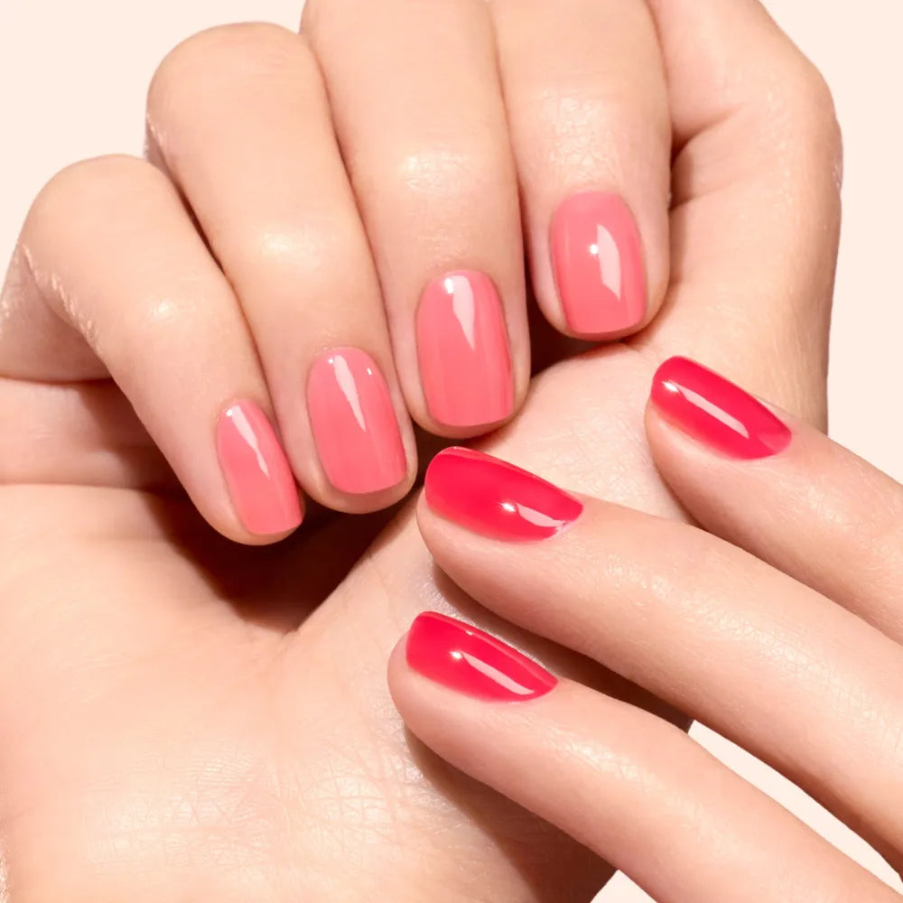 Coffret Duo Jelly | Sugar Plum & Pomme d'amour + Charm
