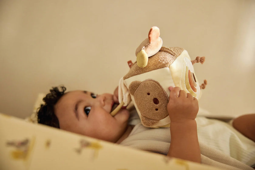 Cube d'activités kagourou Jollein