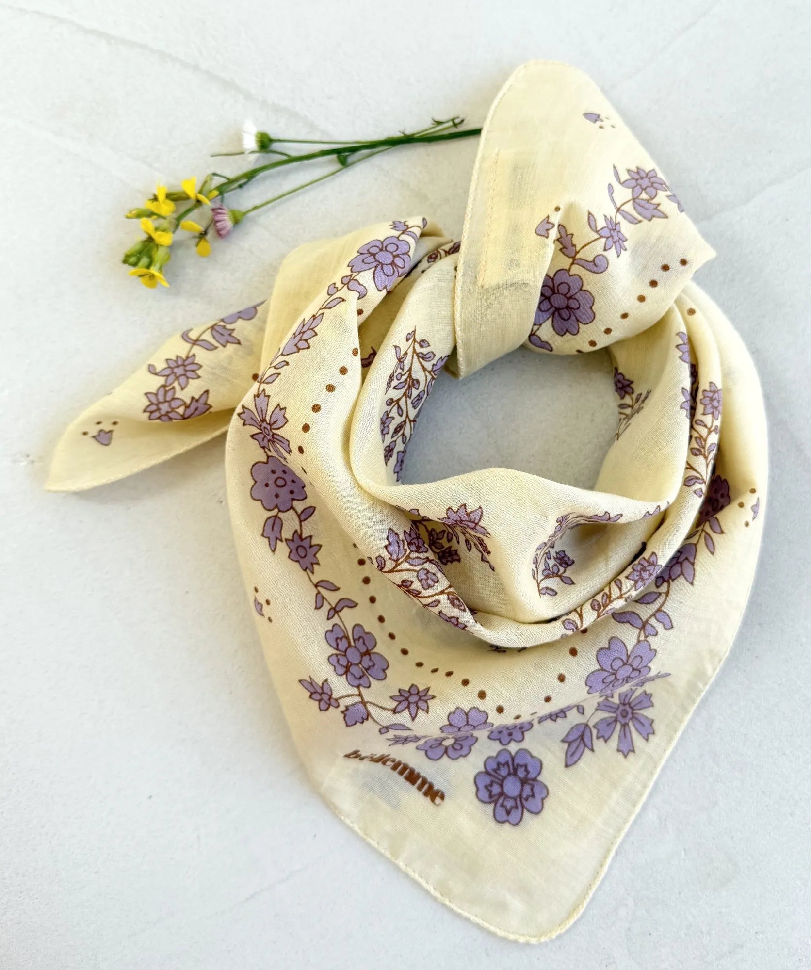 Petit foulard ginger limonade Bellemme