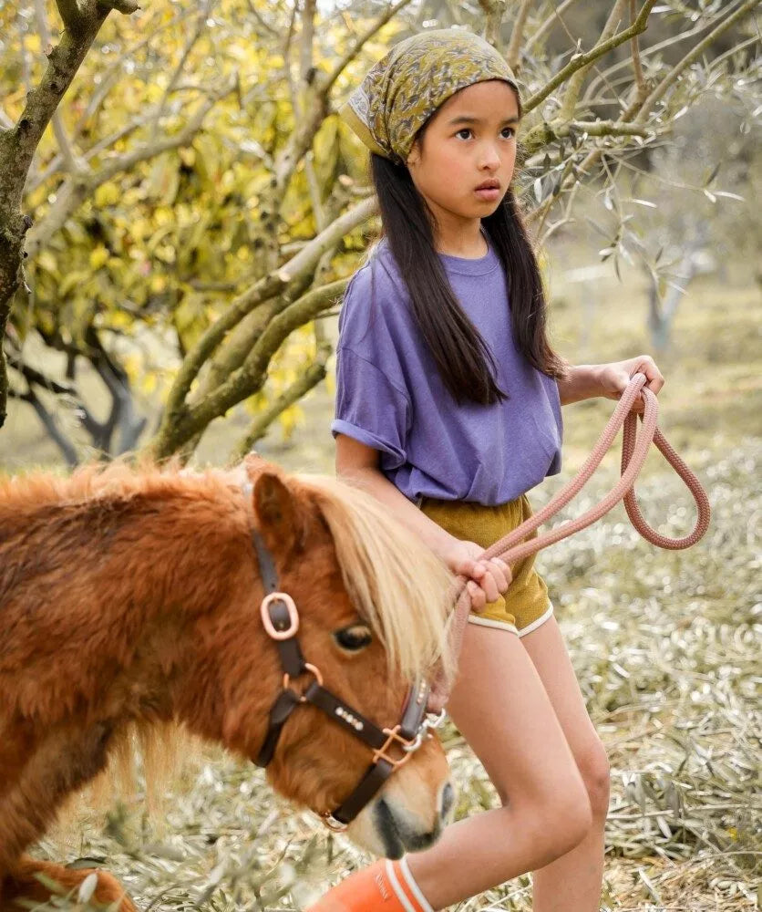 Petit foulard Bellemme scarlett Gold 