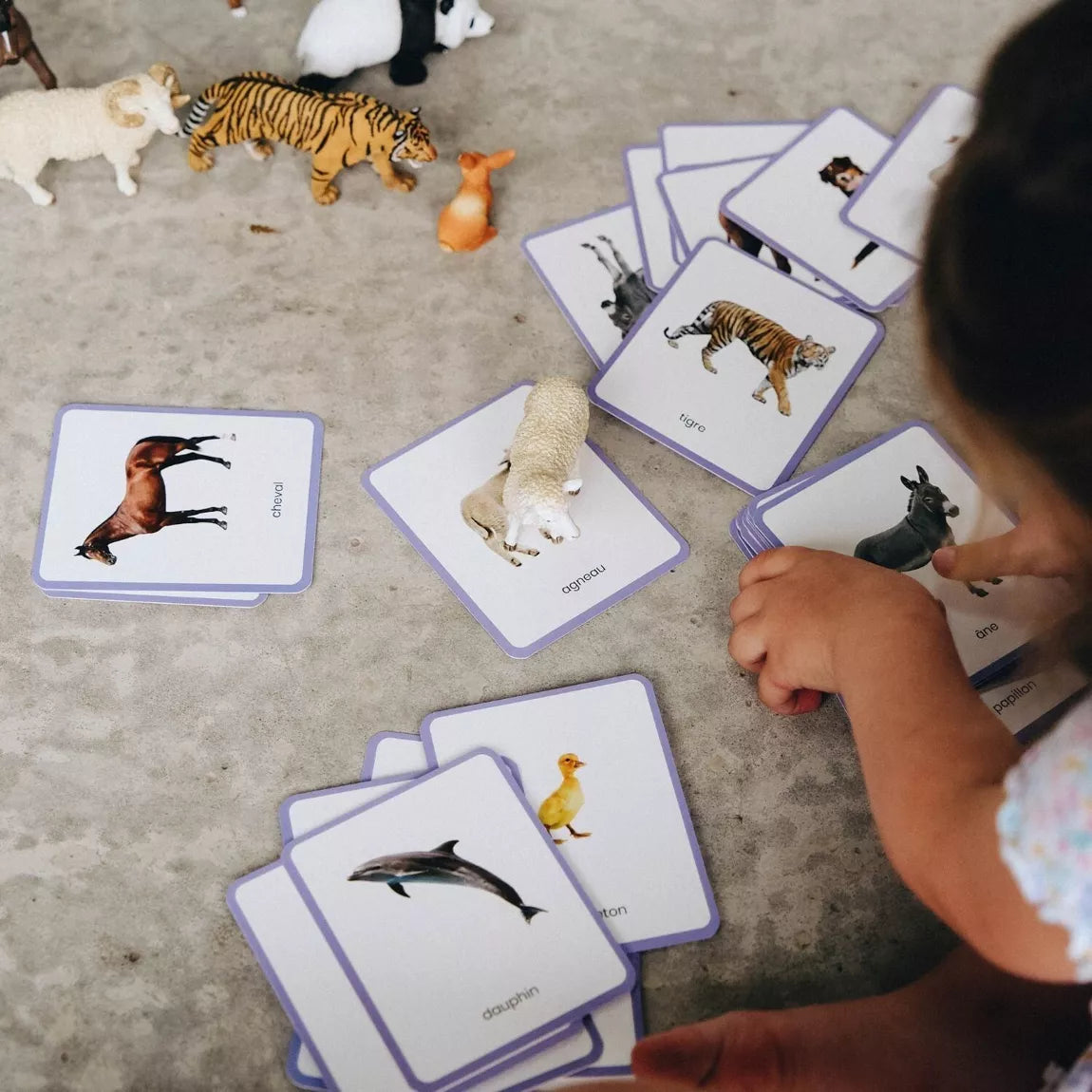 Jeu ludique carte