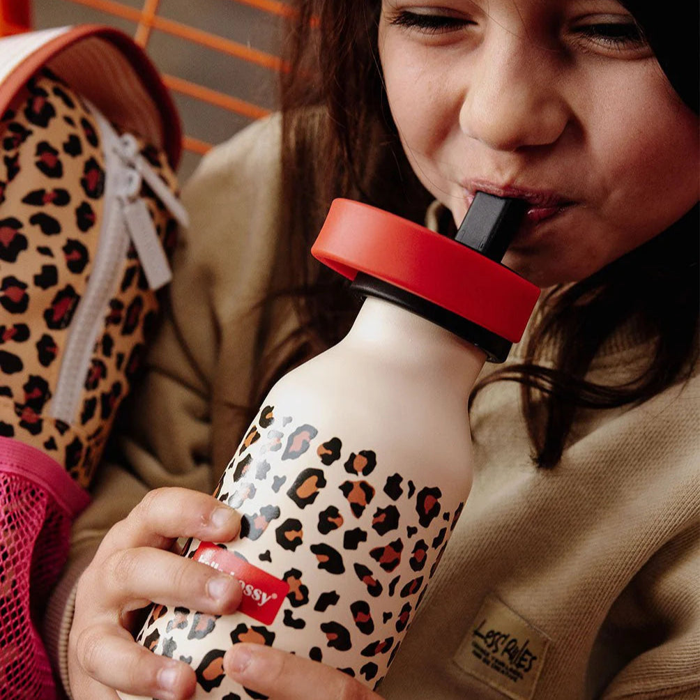 gourde leopard