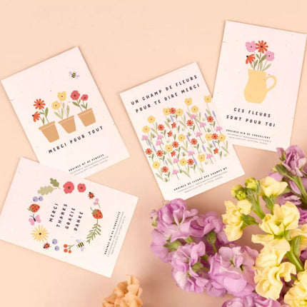 Sachet de graines fleurs des champs