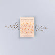 Sachet de graines fleurs des champs