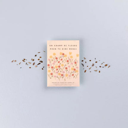 Sachet de graines fleurs des champs