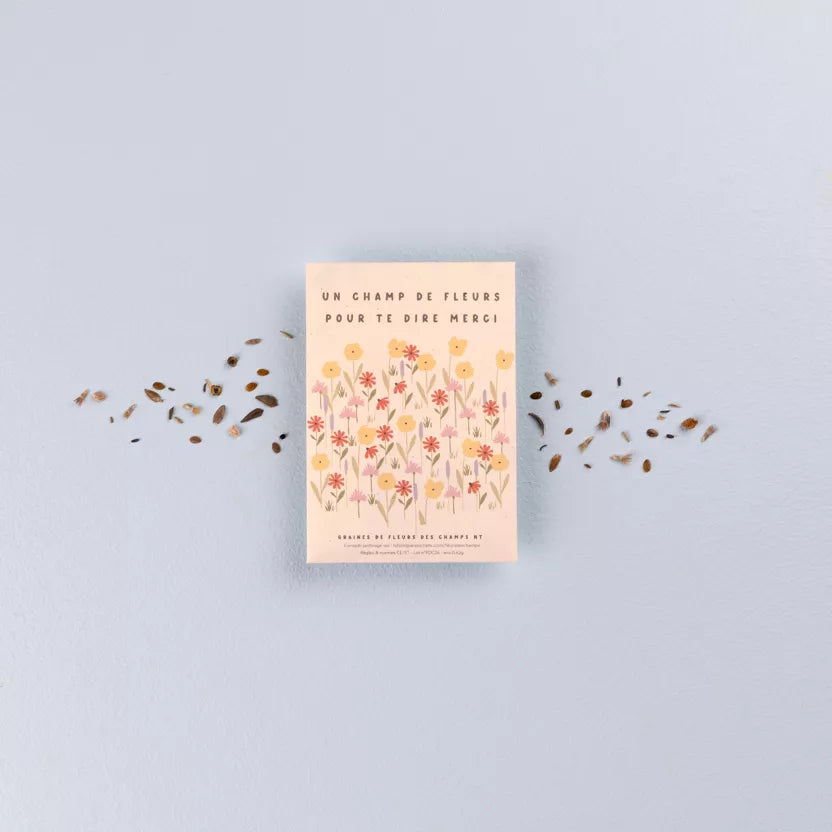 Sachet de graines fleurs des champs