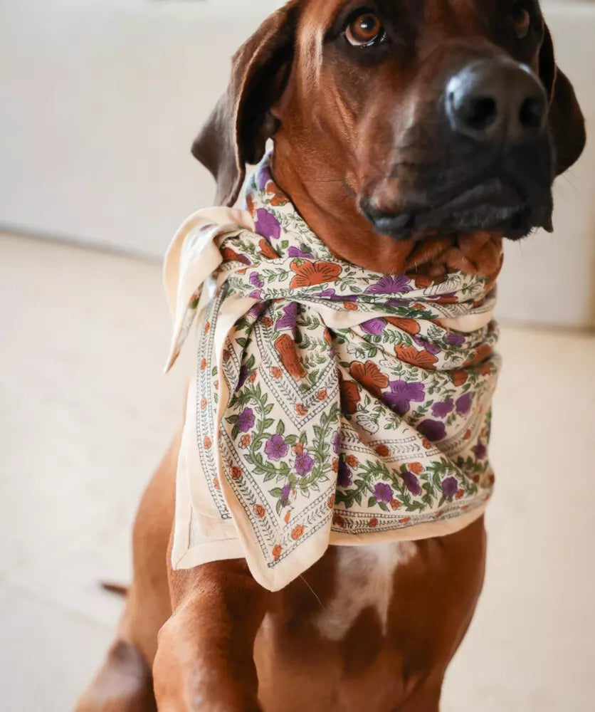 Foulard violet rouge et vert