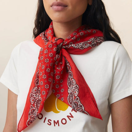 grand foulard tomette