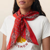 grand foulard tomette