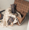 Hochet | Bear