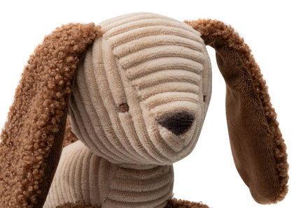 Jouet d'activités chien