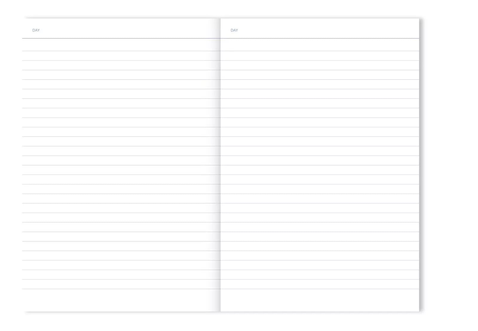 Journal intime rayure