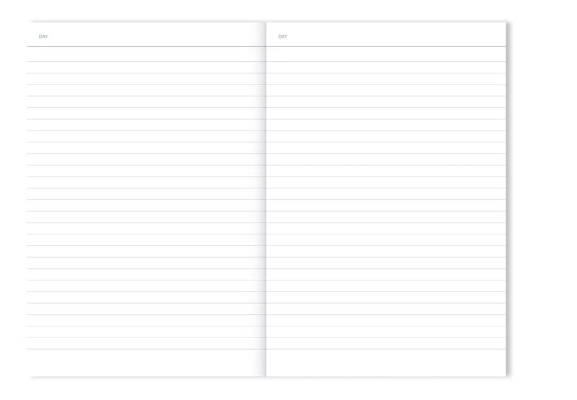 Journal intime rayure